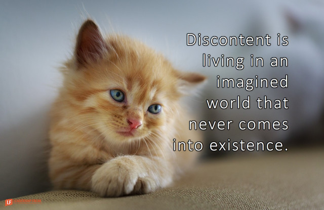 happier_better's tweet photo. CONTENTMENT: HOW TO PRACTICE OPTIMISTIC DISCONTENT

Dissatisfaction – by itself – creates misery.

https://t.co/DzLKnlPg83

#leadership
#management
#LFreakpost https://t.co/KrgxOucMvR