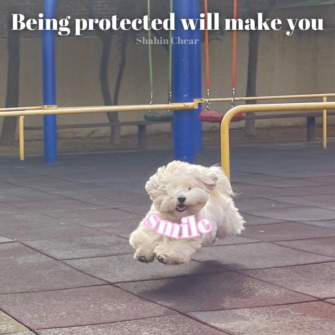 SChearStateFarm's tweet image. Feel as free as a puppy when you're protected🌈Call or text Shahin Chear at 949-553-1115📱

#jakefromstatefarm #statefarminsurance #likeagoodneighbor #persianbusiness #lgbtqfriendly #persian #womenowned #womenleader #artmatters #persianbusinessowner #persianwomenleader