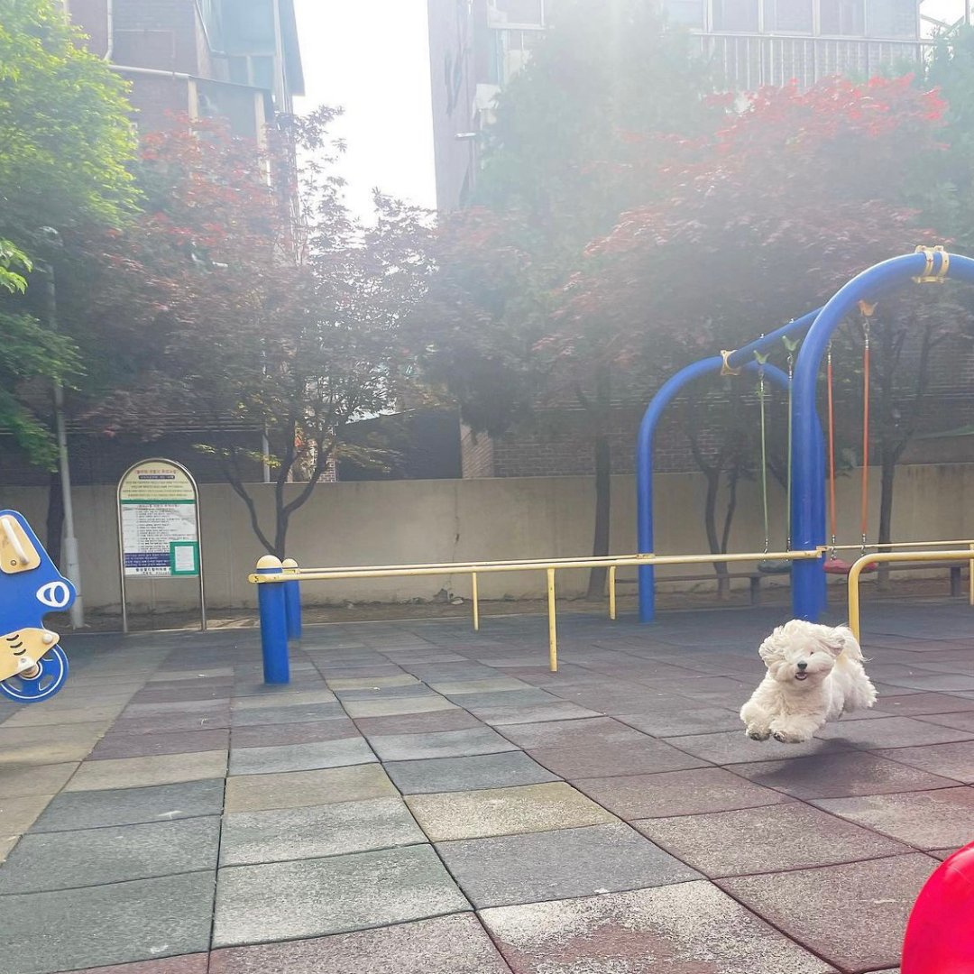 SChearStateFarm's tweet image. Feel as free as a puppy when you're protected🌈Call or text Shahin Chear at 949-553-1115📱

#jakefromstatefarm #statefarminsurance #likeagoodneighbor #persianbusiness #lgbtqfriendly #persian #womenowned #womenleader #artmatters #persianbusinessowner #persianwomenleader