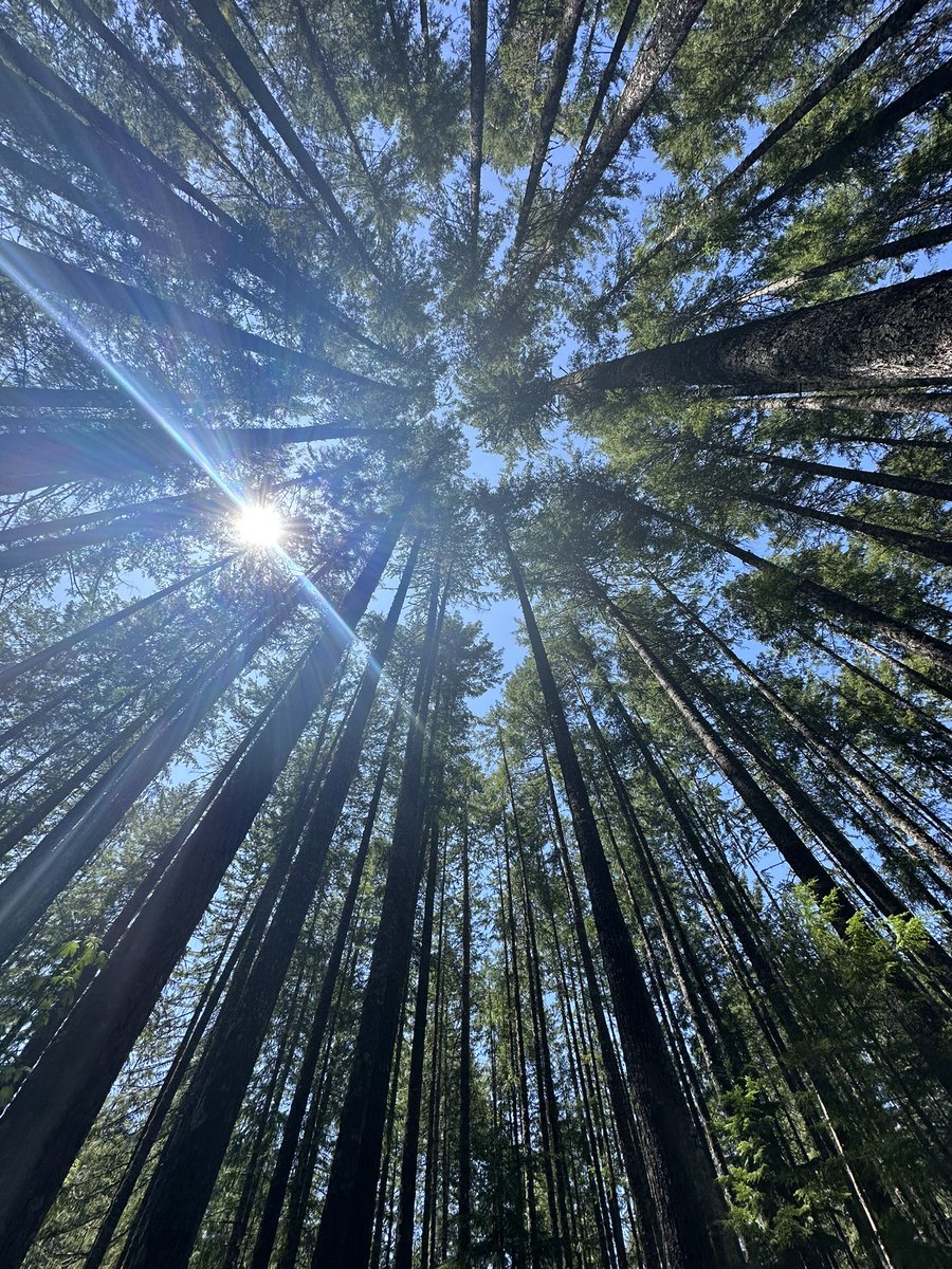 Jae_Squirrel's tweet photo. I cannot stress this enough…nature heals🏕️ https://t.co/MfoTDPWF4A