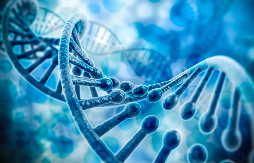 officialatcc's tweet photo. Did you know ATCC Cell Line Land contains manually curated 'omics data for over 70 ATCC Cell Lines and it will continue to grow by 1000 new samples every year? Get started: https://t.co/7yBLQwu6xw #BioIT23 https://t.co/Ng8I9VkNpZ