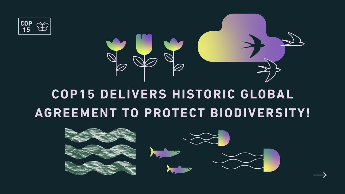 Happy #InternationalBiodiversityDay! 🌱
Today, we're looking back to when the Kunming-Montreal Biodiversity Framework Agreement was adopted.
Now , we need to work together to create a domestic #HaltAndReverse action plan as we move through 2023.

👉 ow.ly/vsAI50OrCS3