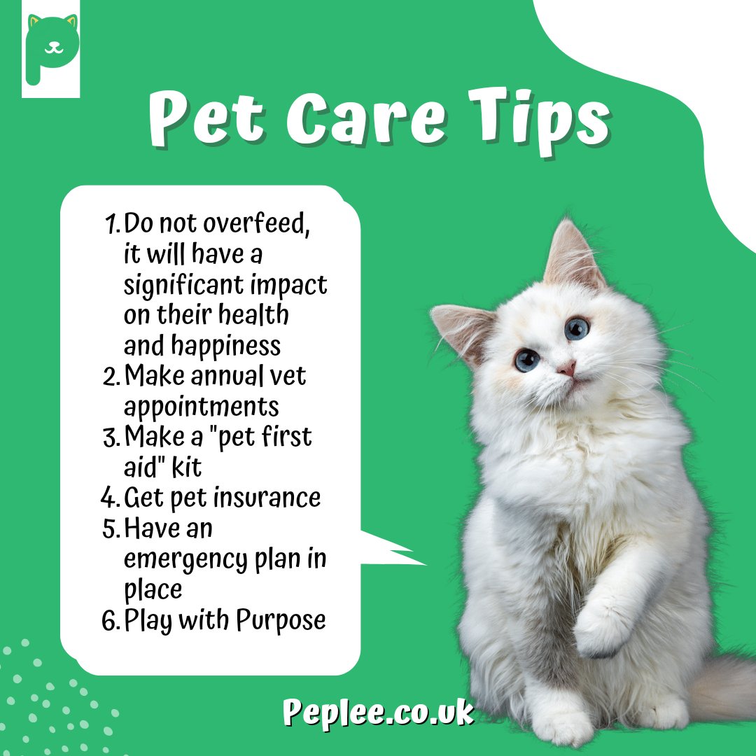 Remember to take care of your pets ❤️

#peplee #petcare #petcaretips #petvideos #cutecats #cutecats #petservices #petwellness #petadoption #cutepets #cutecats