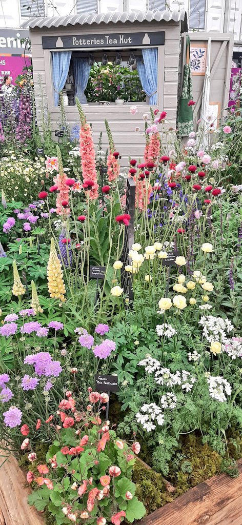 Thoroughly enjoyed Press Day and The Presidents lunch @the_rhs #rhschelsea today. Such a treat to catch up with so many flower show friends, exhibitors and competitors.  The Grand Pavilion looked amazing and is full of the most heavenly exhibits!

#rhs #chelsea #flowershow #