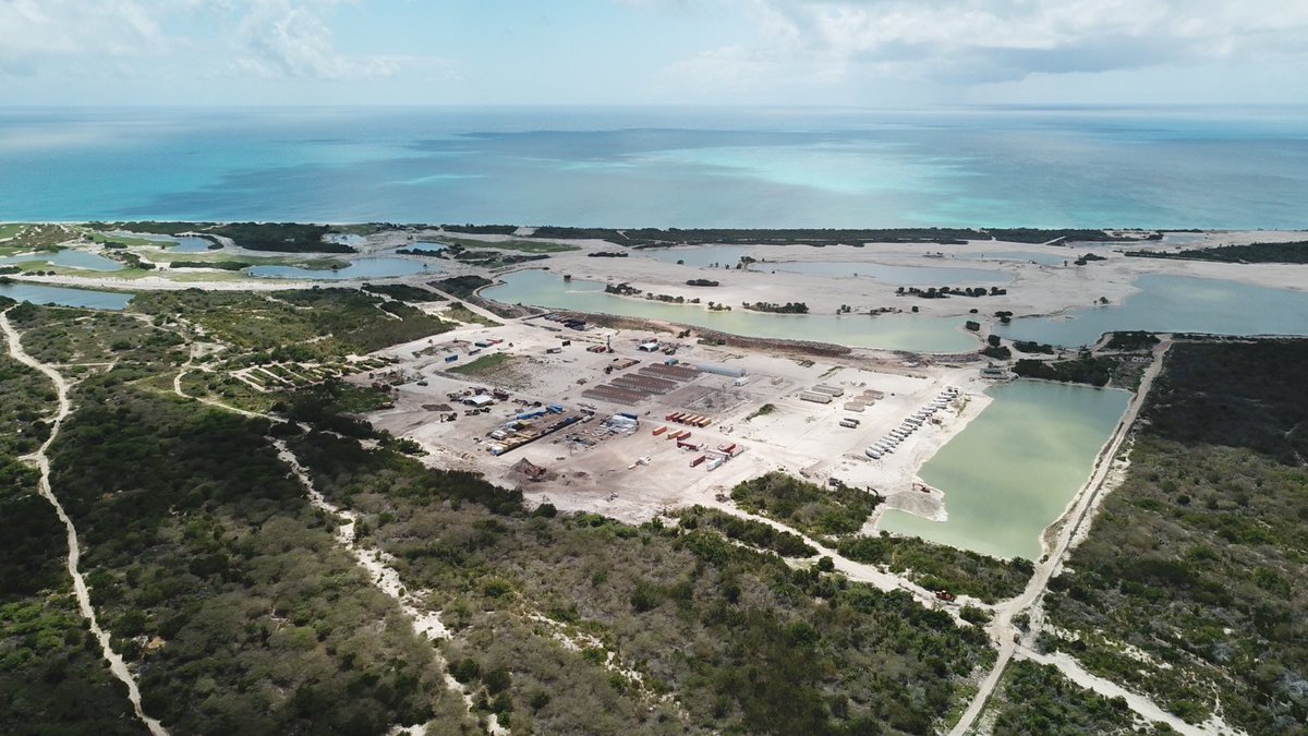 This #BiodiversityDay we're reminded that the #landgrab by developers on Barbuda is threatening not only the Barbudan way of life but the fragile ecosystem too. #SaveBarbuda #ecocide #Barbuda
Support the Land Defenders now: crowdjustice.com/case/save-barb…