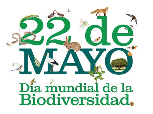 ¡Hoy es el #DiaInternacionaldelaBiodiversidad!
🦦🦩🦎🦋🐝🐋🐍🦂🌿🌸🐹🐦

Cada 22 de mayo se conmemora el Día de la Diversidad Biológica en todo el planeta, queremos recordar la importancia de preservar nuestra flora y fauna.
#BiodiversityDay 
#BiodiversityDay2023