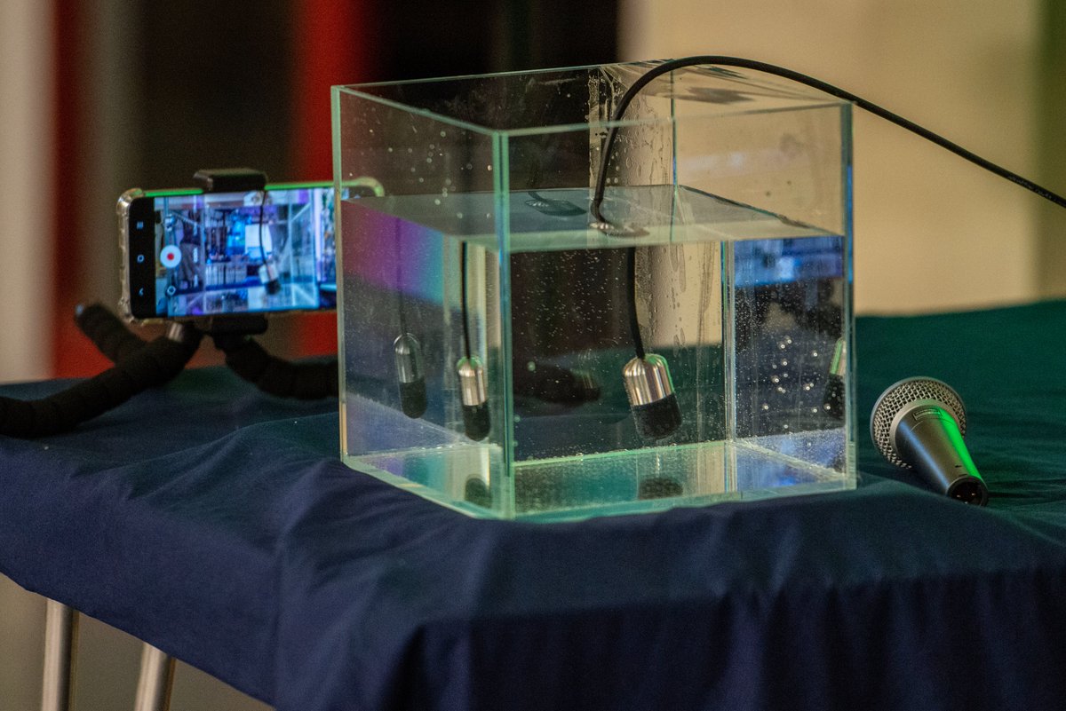 RachelBecklesWillson tweet media