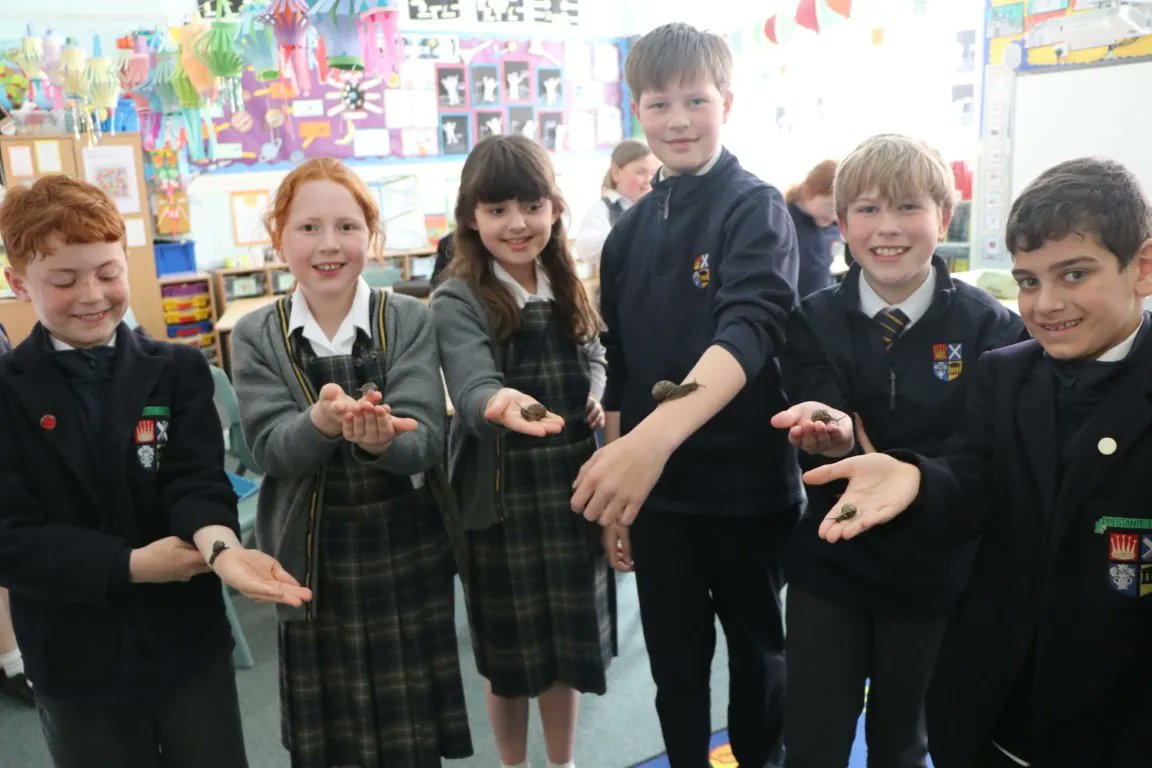 HighSchoolofDundee tweet media