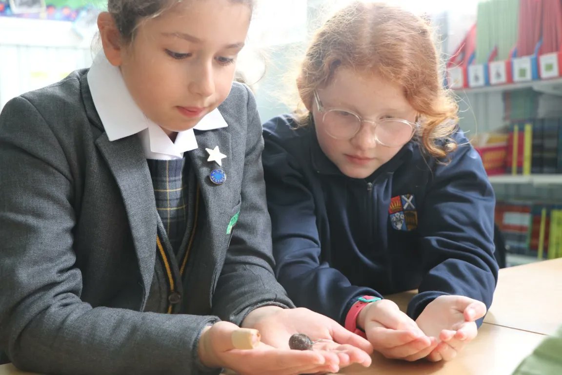 HighSchoolofDundee tweet media