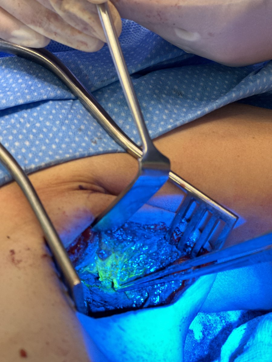 Paul Thiruchelvam 🇺🇦 tweet media