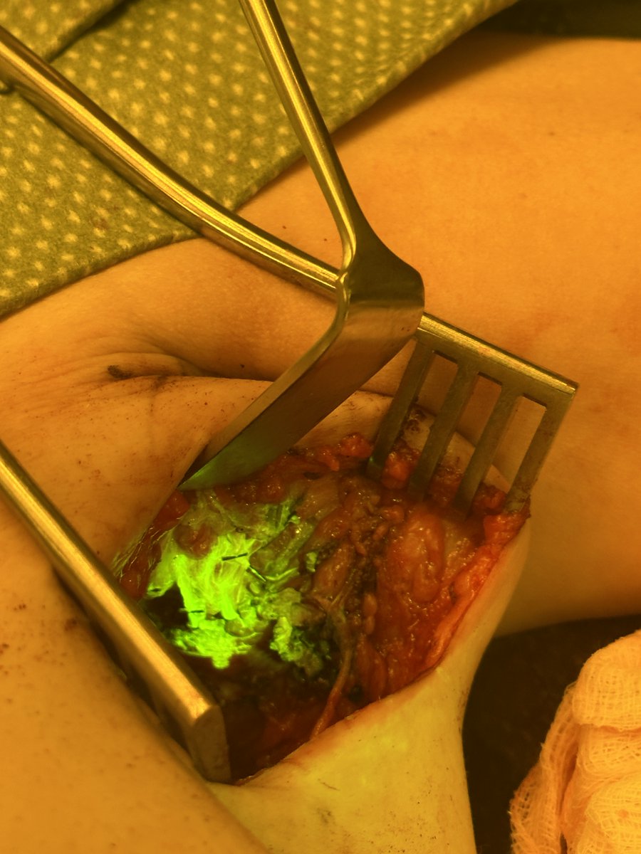 Paul Thiruchelvam 🇺🇦 tweet media