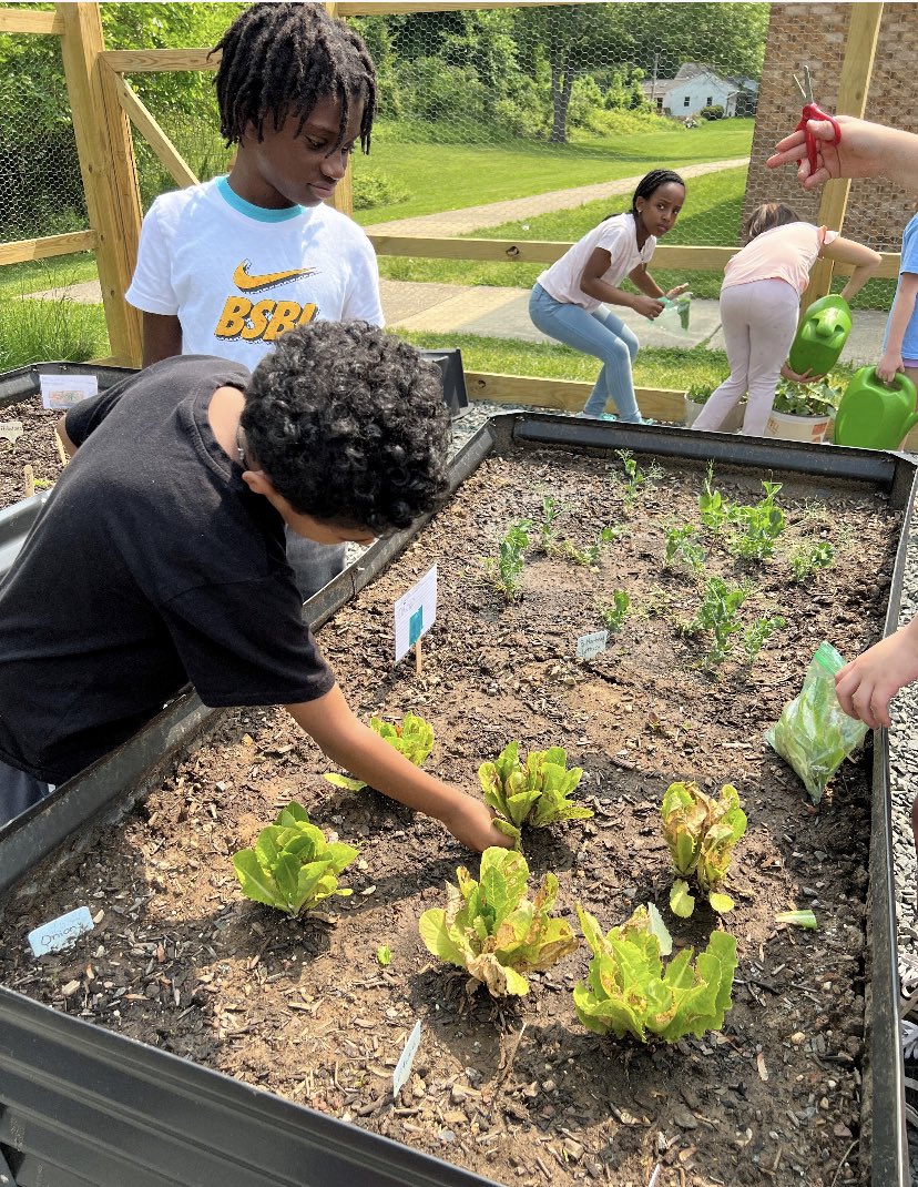 Tim Slayter tweet media