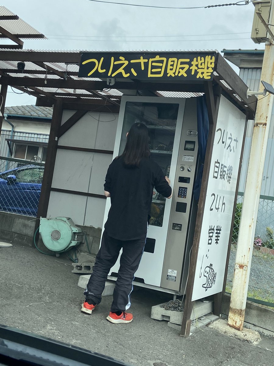 オッド on Twitter: 昨日の隠し撮り