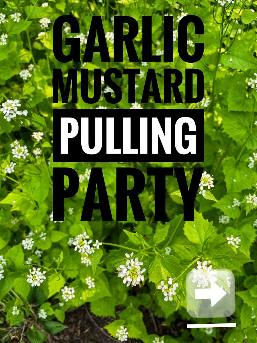 Heather Doyle tweet media