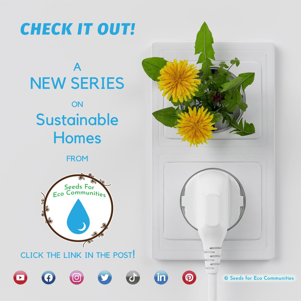 Sustainable Homes are making waves - check out our new lesson plan!
seedsforecocommunities.org/lessons

#SFEC #ecoconscious #futuregenerations #green #sustainable #sustainableliving #sustainability #lowimpactliving #strawbale #hempcrete #tinyhome #yurt #earthblocks #shippingcontainers