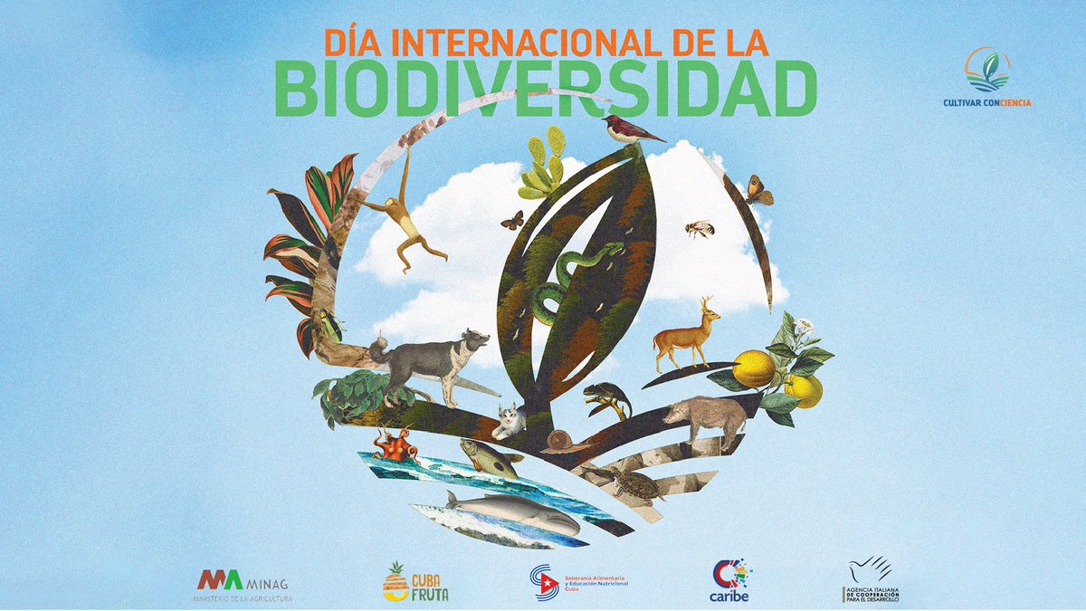 La protección de los recursos biológicos como la fauna y flora (micro y macro) y la diversidad genética es vital para la producción sostenida de alimentos. 

#SoberaniaAlimentaria #AgriculturaCubana #Cuba #MedioAmbiente  #BiodiversityDay #BiodiversityDay2023