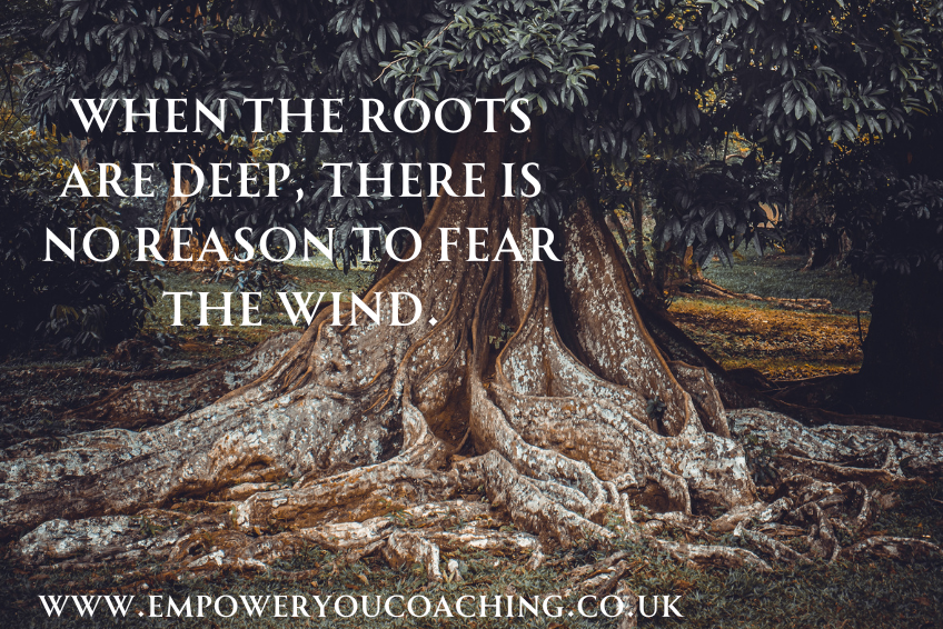 The importance of being grounded.
.
🌹
.
#empowermentcoaching #spirituallifecoaching #grounding #rootchakra #higherperspective #strength