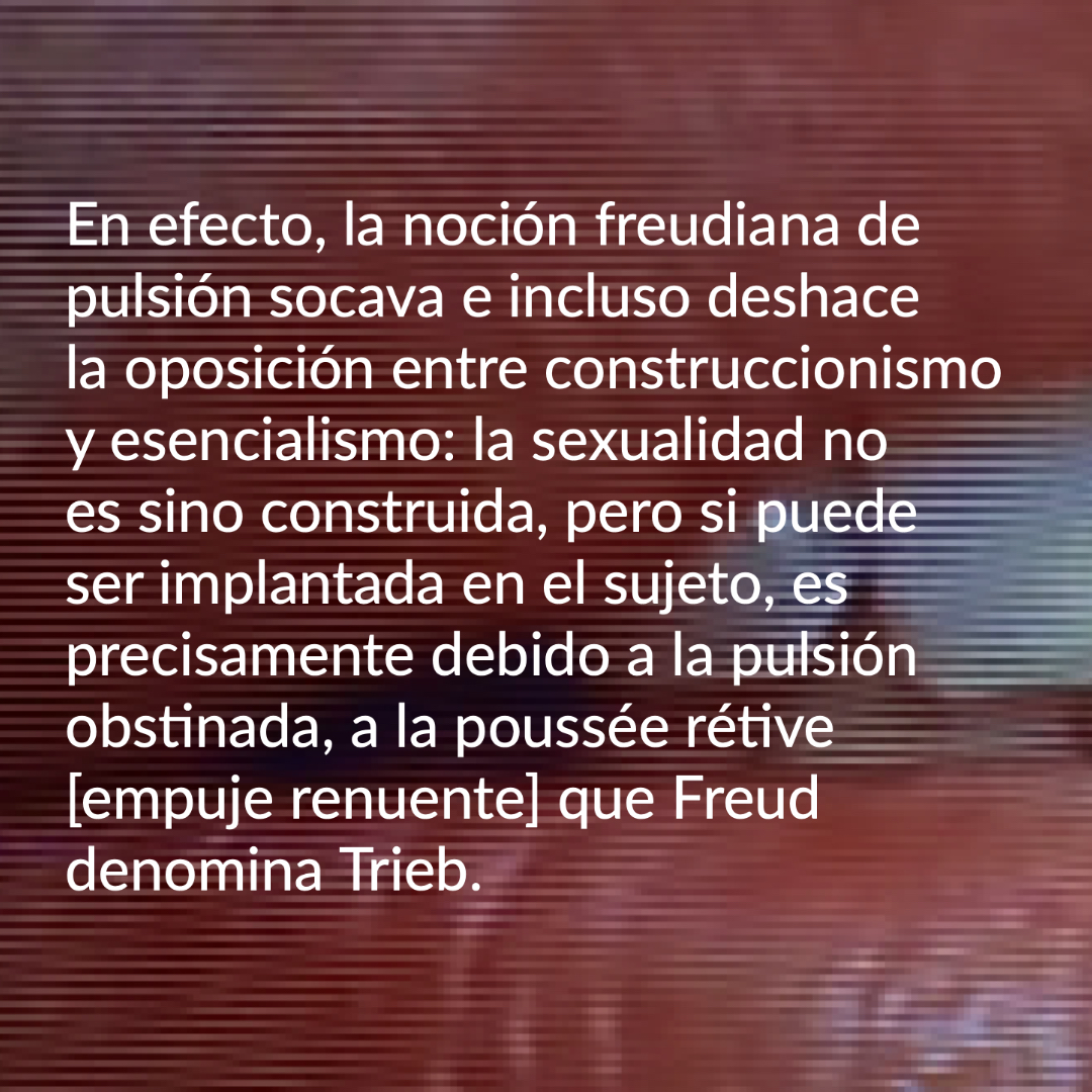 Pólvora Editorial tweet media