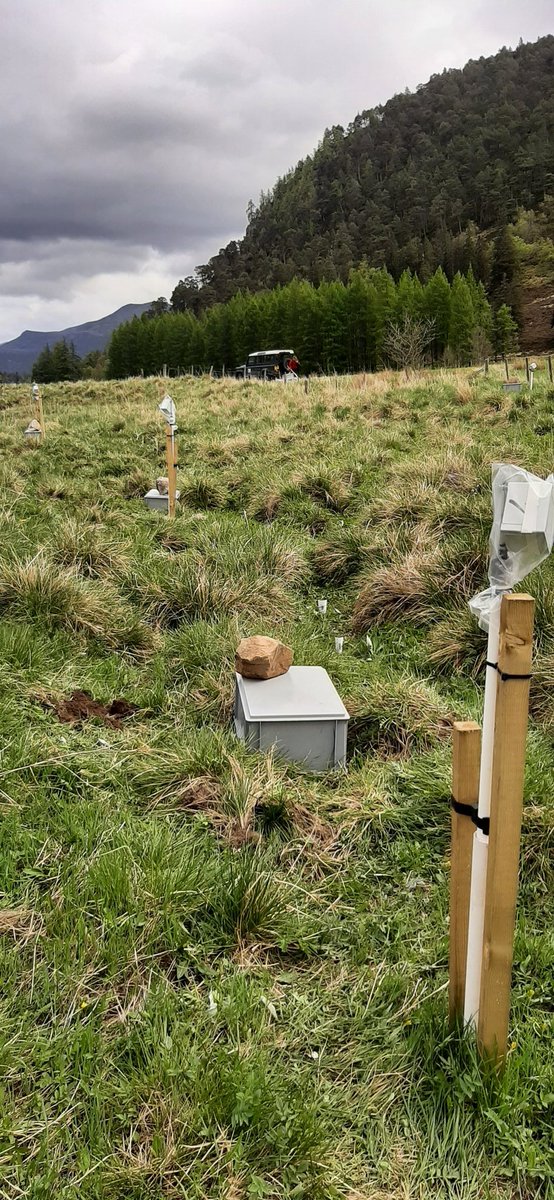 Carri Project tweet media