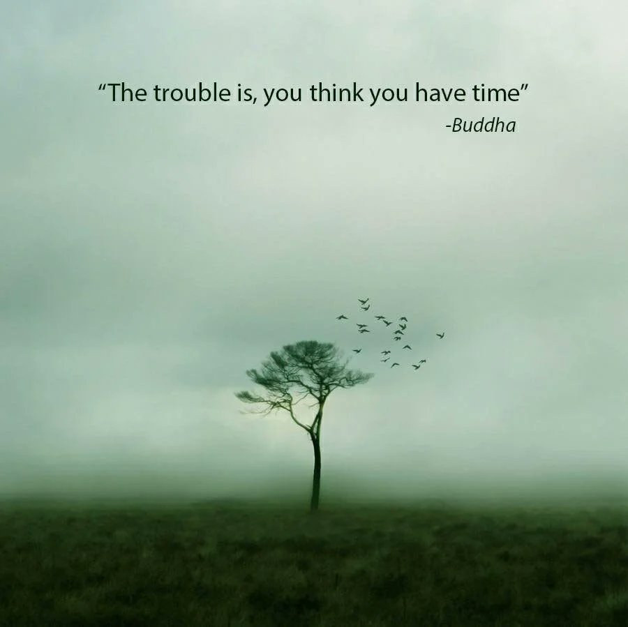 The trouble is, you think you have time.
~ Buddha
#time #usetimewisely #doitnow #life #opportunity #risks #bebrave #adventure #reiki #laughteryoga #intuition #medicalintuition #mindfulness #meditation