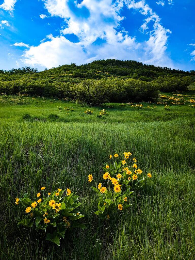 Just outside Salt Lake City [OC] (1500x2000) via /horse_masturbator ift.tt/ZMbckQl