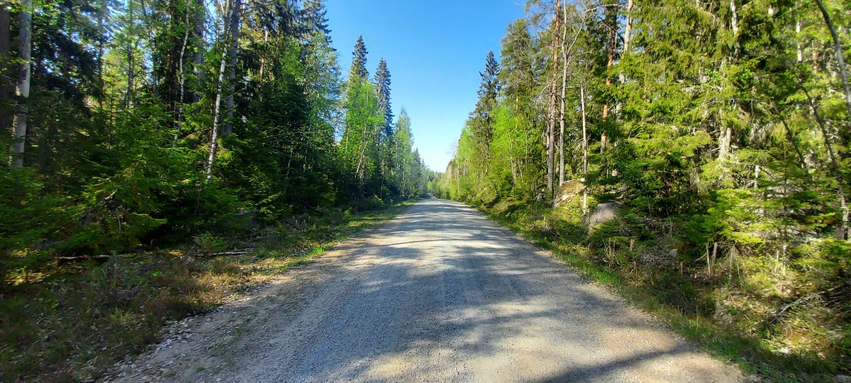 rvarjonen's tweet photo. Vehmaalta Laitilaan vievä metsätie. #luonto #maisema #metsä #toukokuu2023 #Vehmaa https://t.co/YX5gdCe70N