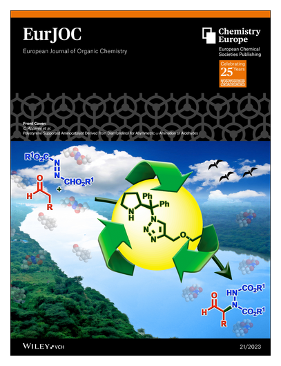 EurJOC's tweet photo. #OnTheCover Polystyrene-Supported Aminocatalyst Derived from Diarylprolinol for Asymmetric alpha-Amination of Aldehydes by Chandrakumar Appayee and co-workers @appayee https://t.co/dCjXKXEWAW https://t.co/EpT9GZyoFQ
