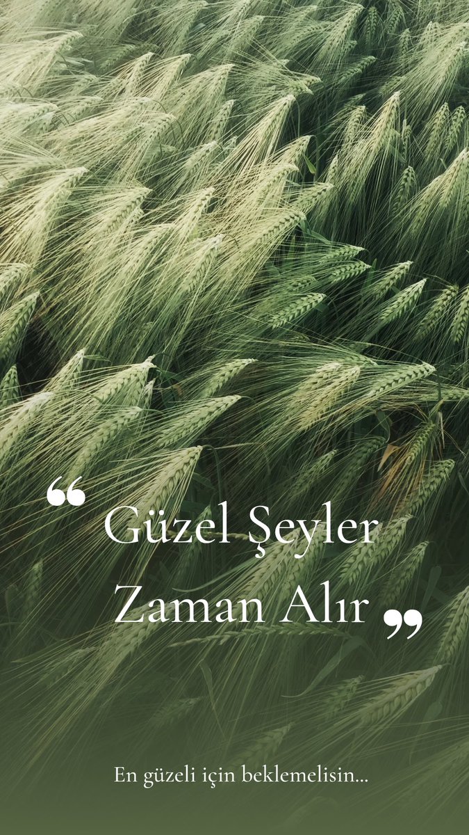 Eyyüp İleri (@eyyup_ileri) on Twitter photo 