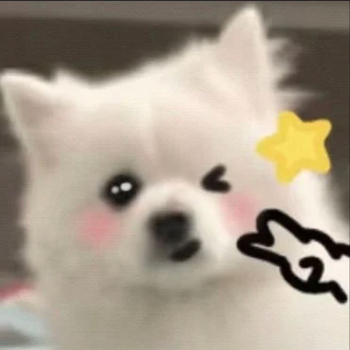 Kwon tweet media
