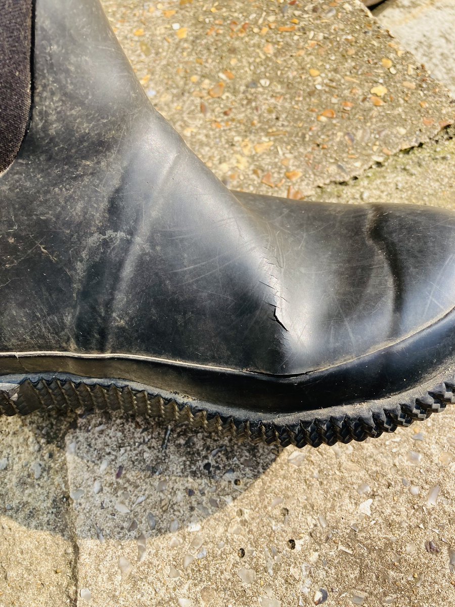 Melanie Redmond tweet media