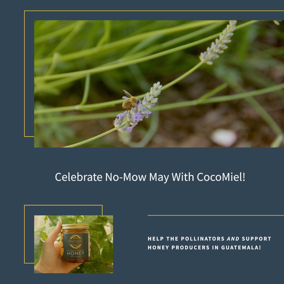 🌱 Let's celebrate No-Mow May together! 🐝
Plant more, mow less, and eat more honey. 🧉

#savethebees #guatemalanhoney #supportpollinators #honeyproducers #NoMowMay