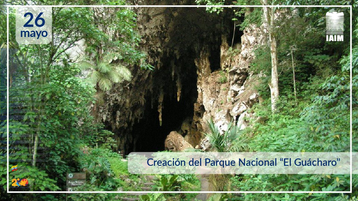 IAIM_VE's tweet photo. #EfeméridesIAIM 📅|| El #26May de 1975 fue creado el Parque Nacional “El Guácharo”, ubicado entre los estados Monagas y Sucre, es popularmente conocido como "el Jardín de Oriente”. Es una de las cuevas más hermosas del mundo debido a su belleza natural y a su fauna. https://t.co/1HLN2MoPej