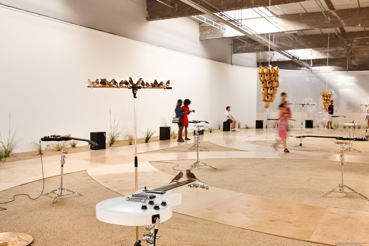 Le Prix de confirmation en sculpture de la Fondation Simone et Cino Del Duca 2023, doté de 25 000 €, a été attribué sur proposition de l'Académie des beaux-arts à Céleste Boursier-Mougenot. 
Plus d'informations : urlz.fr/lWKF