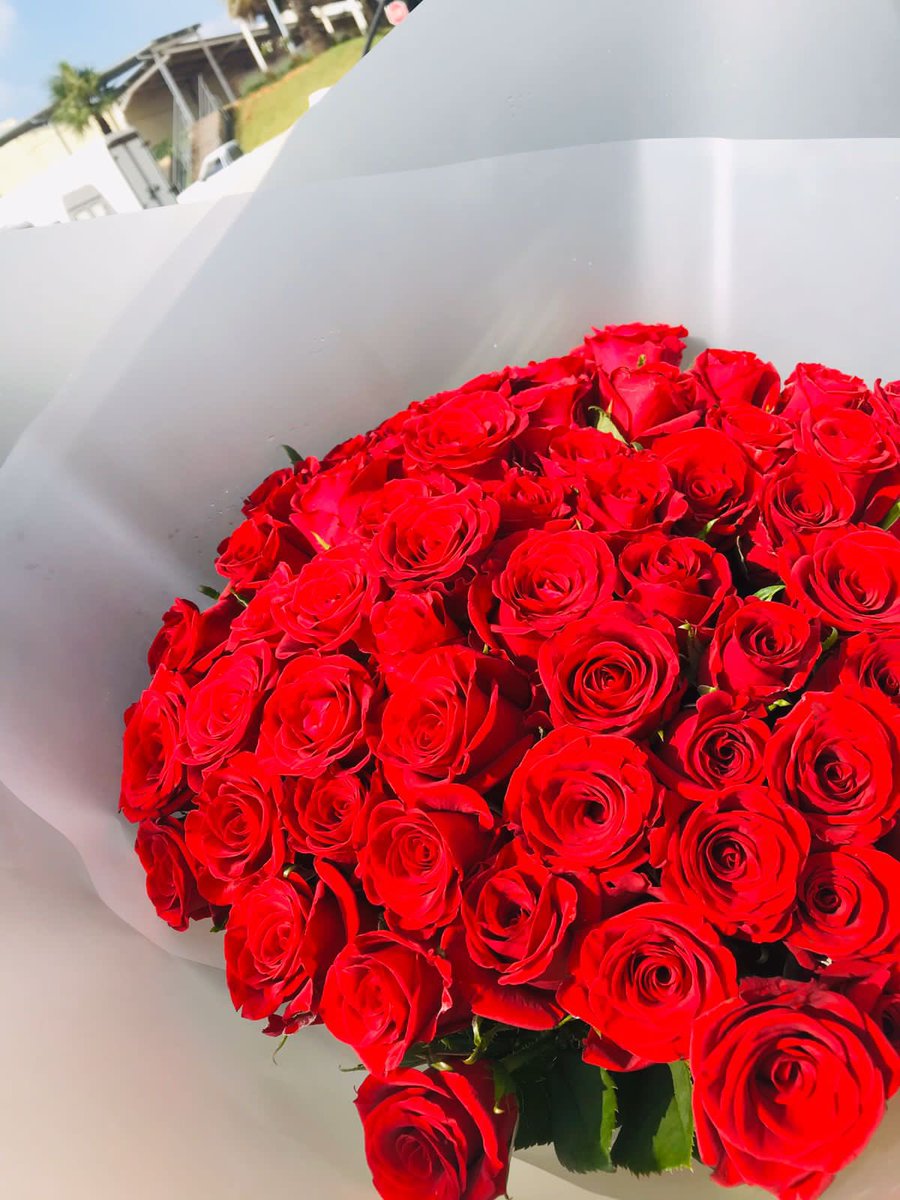 SDCAIRO's tweet photo. @AlickLu96334248 @cairotheflorist https://t.co/n4ibEkR8JS