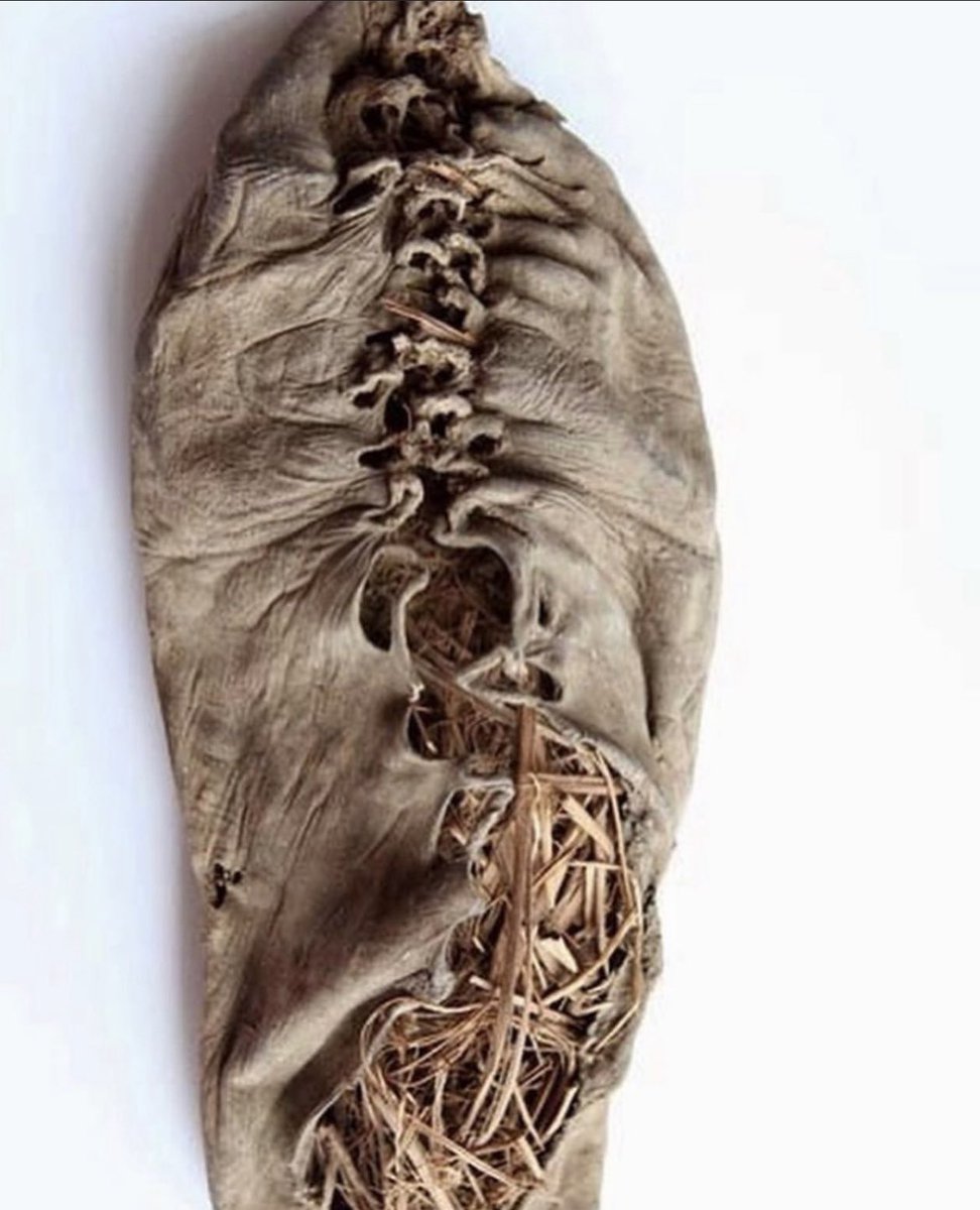 The Areni-1 shoe, discovered in 2008 within the well-preserved Areni-1 cave situated in Armenia's Vayots Dzor province, is an ancient leather shoe dating back 5,500 years. This remarkable footwear, made from a single piece of leather, holds the distinction of being the oldest