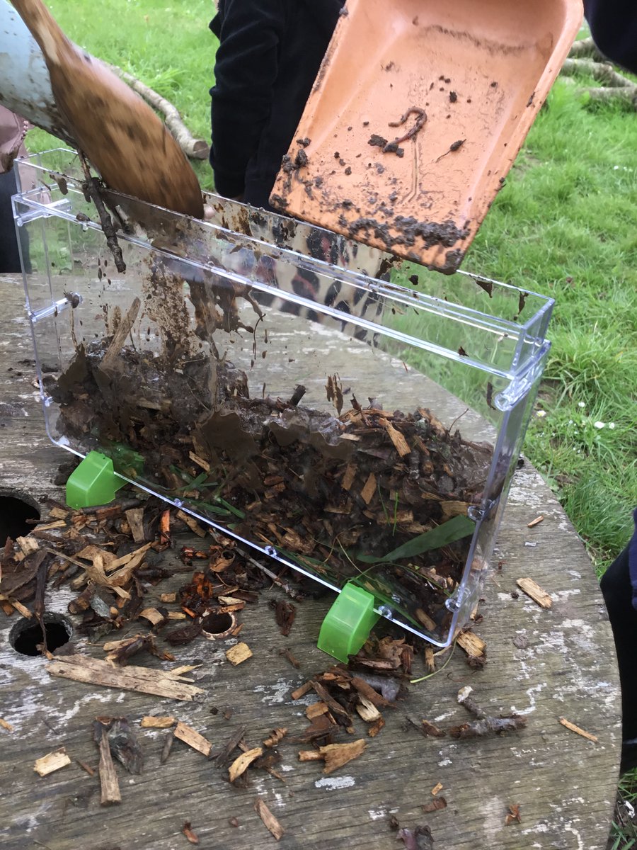 braunstone_cps's tweet photo. F1 enjoyed creating habitats for worms, developing their language when discussing what we need to provide for them. #EYFS #EYFSBCPS #worms https://t.co/xWA3bXMlmQ