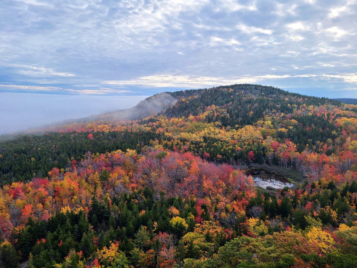 Are you headed to Acadia National Park this summer? Check out my guide to the best hiking trails in the park! lostwithlydia.com/destinations/u… 

#acadia #acadianationalpark #hikingadventures