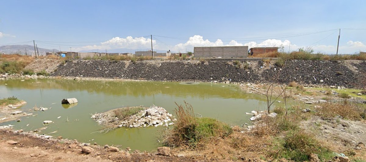 Por ejemplo, el desecamiento del Lago de Chalco para construir vivienda informal o la urbanización de Xochimilco es un delito ambiental y una violación al uso de suelo.
Sin embargo, la gente que en otras ocasiones tacharía de ecocidio, aquí se hace de la vista gorda.