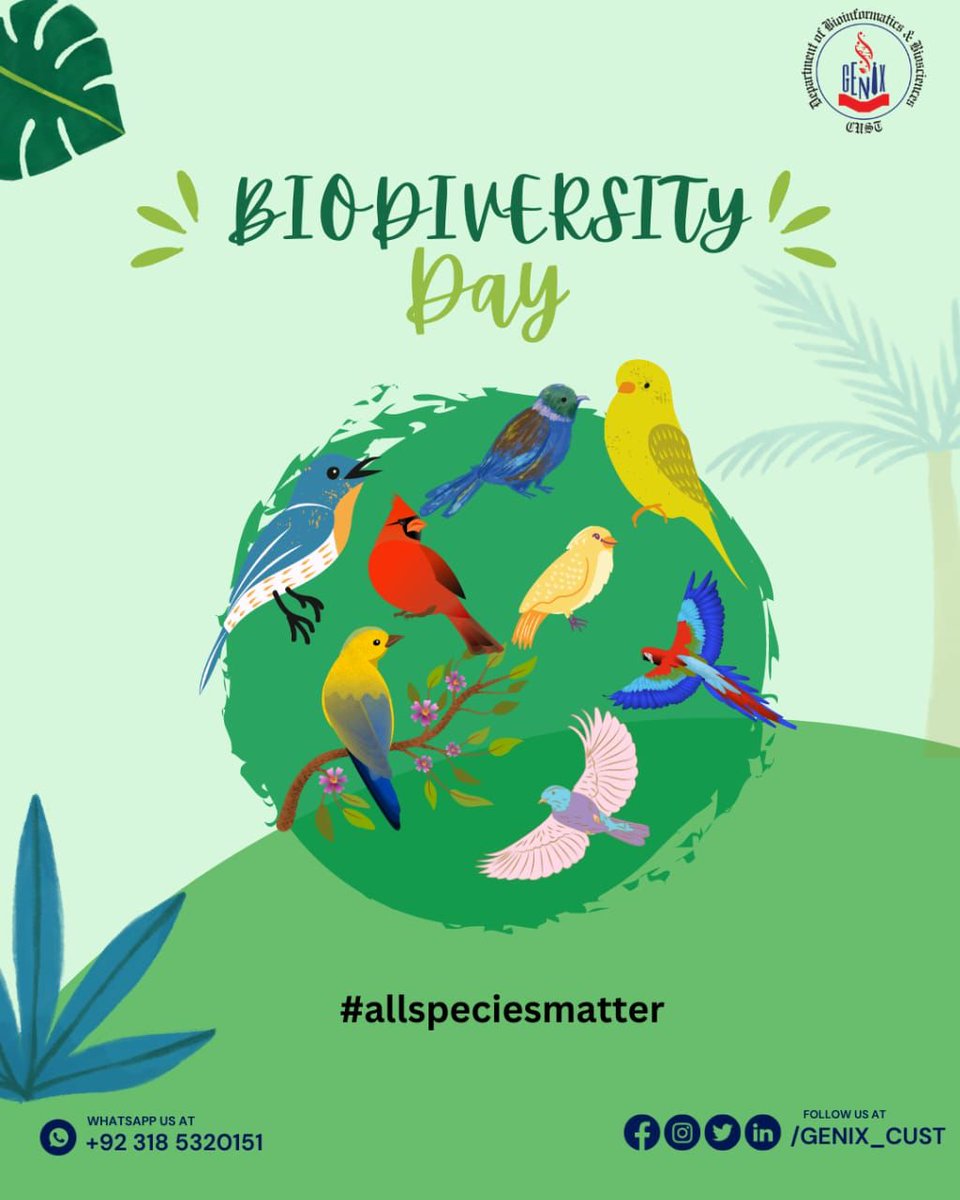 SpiritWhisper__'s tweet photo. We all share the responsibility of preserving Pakistan's unique wildlife. Together, let's create awareness and take action for biodiversity conservation. #WildlifeProtection #Pakistan #GenixCust #GenixSociety #AllSpeciesMatter #allspeciesmatter https://t.co/NayNhh3zTm