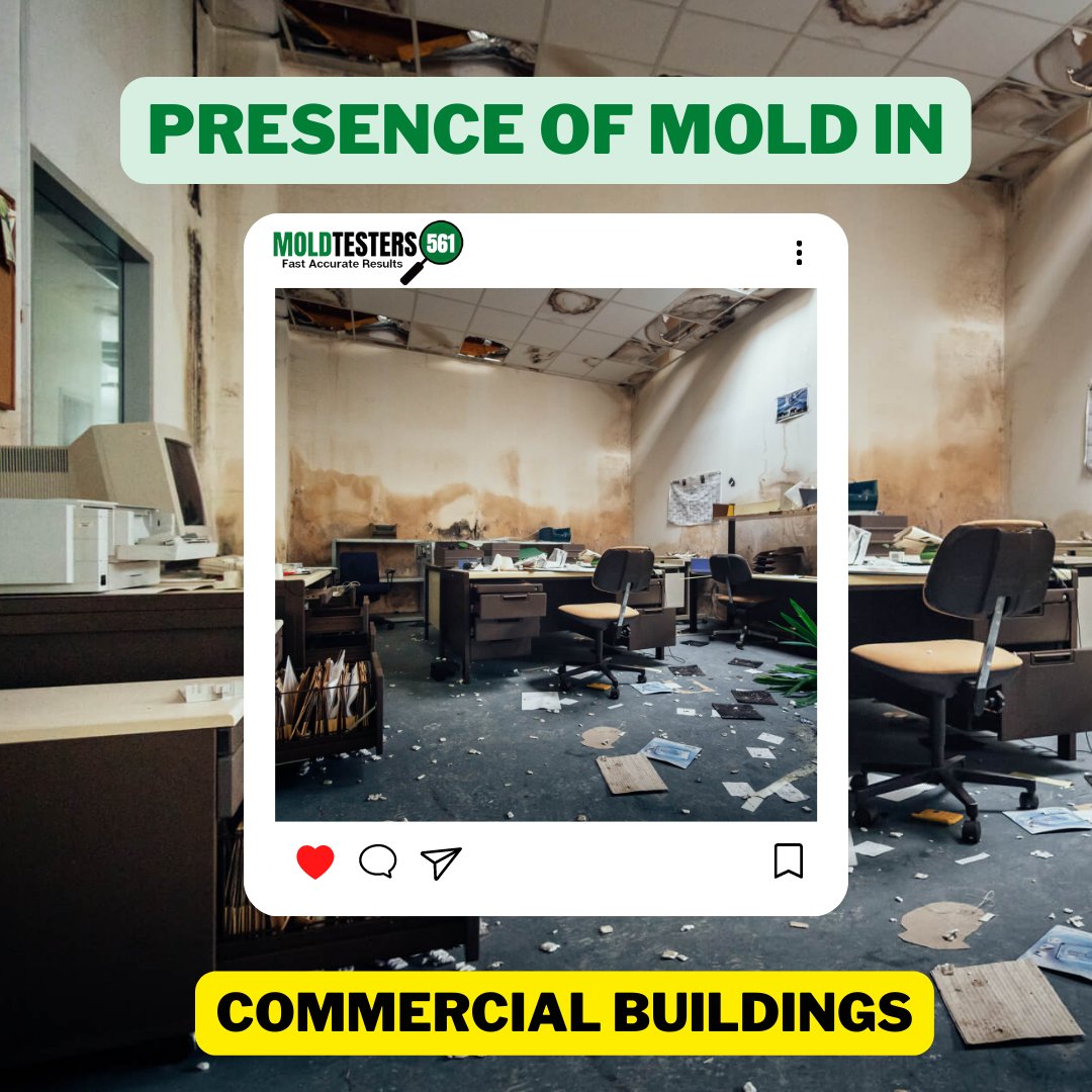 The presence of mold in commercial buildings can have several harmful effects. It affects employees' health and can lead to decreased productivity and costly repairs. 

#moldeffects #Florida #commercialbuildings
#MondayMotivation