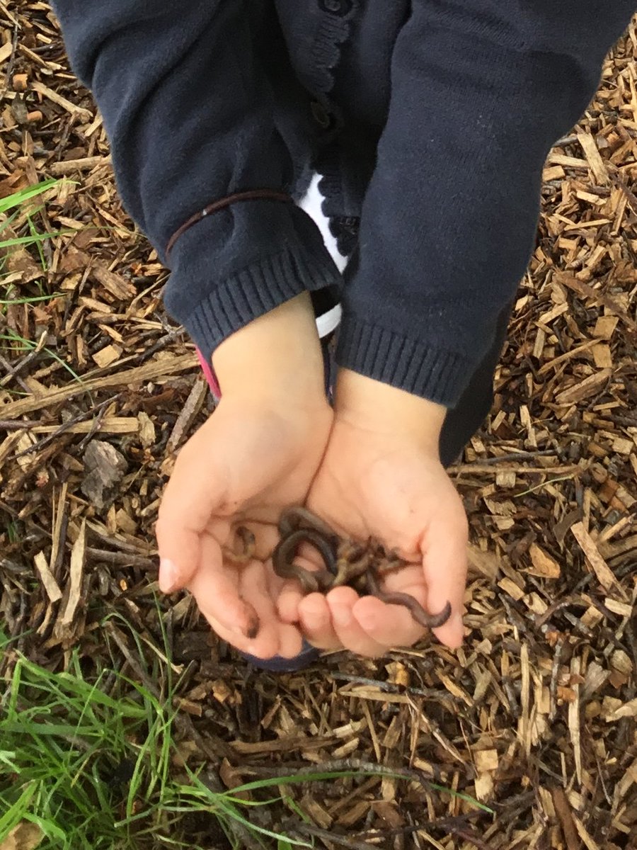 braunstone_cps's tweet photo. F1 enjoyed creating habitats for worms, developing their language when discussing what we need to provide for them. #EYFS #EYFSBCPS #worms https://t.co/xWA3bXMlmQ