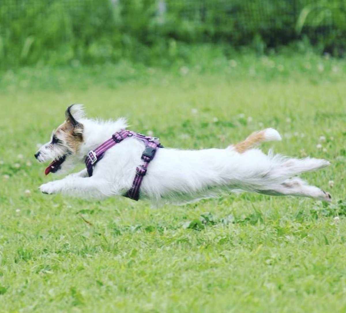 “If you want to fly, give up everything that weighs you down.”
Buddha