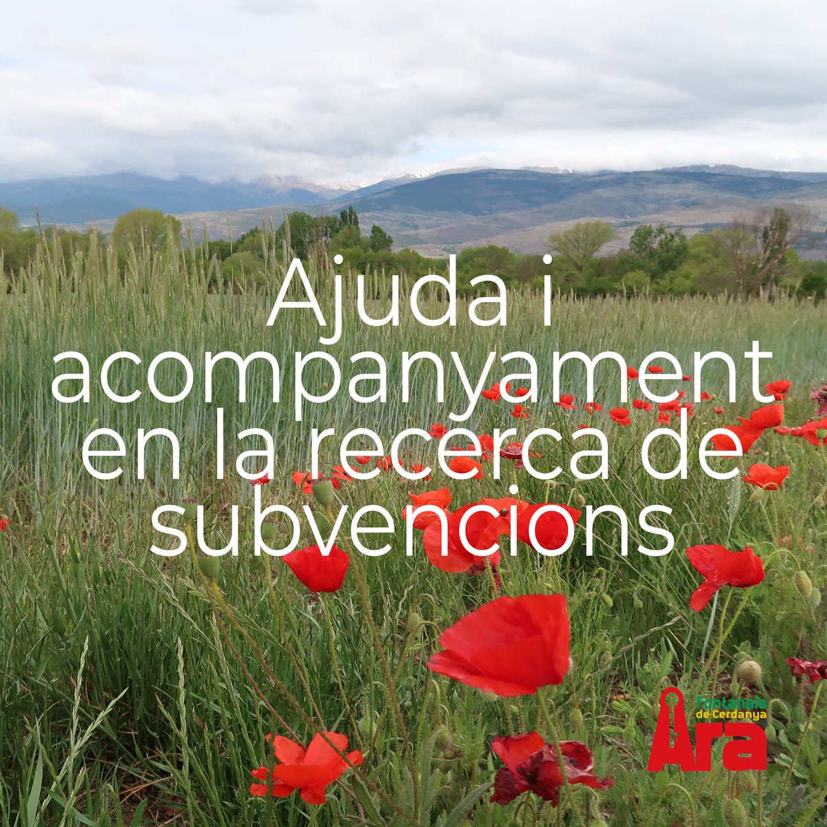 AraFontanals's tweet photo. 💰Ajuda i acompanyament en la recerca de subvencions
#AraFontanals #Fontanals, #FontanalsdeCerdanya, #LesPereres, #Queixans, #Urtx, #ElVilardUrtx, #Escadarcs, #Estoll, #Soriguerola, #Cerdanya https://t.co/EjlUefiMIW
