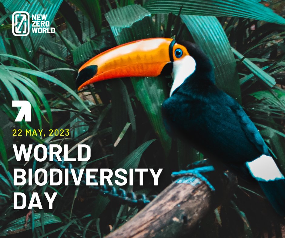 Happy World Biodiversity Day! 🌍🦜

In our upcoming White Paper, we emphasise biodiversity as closely interconnected with the climate crisis, and vital for earth's ecosystems.

Tackling climate, nature and social justice issues together will be crucial in building a better world