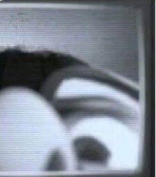 yo hablando por videollamada