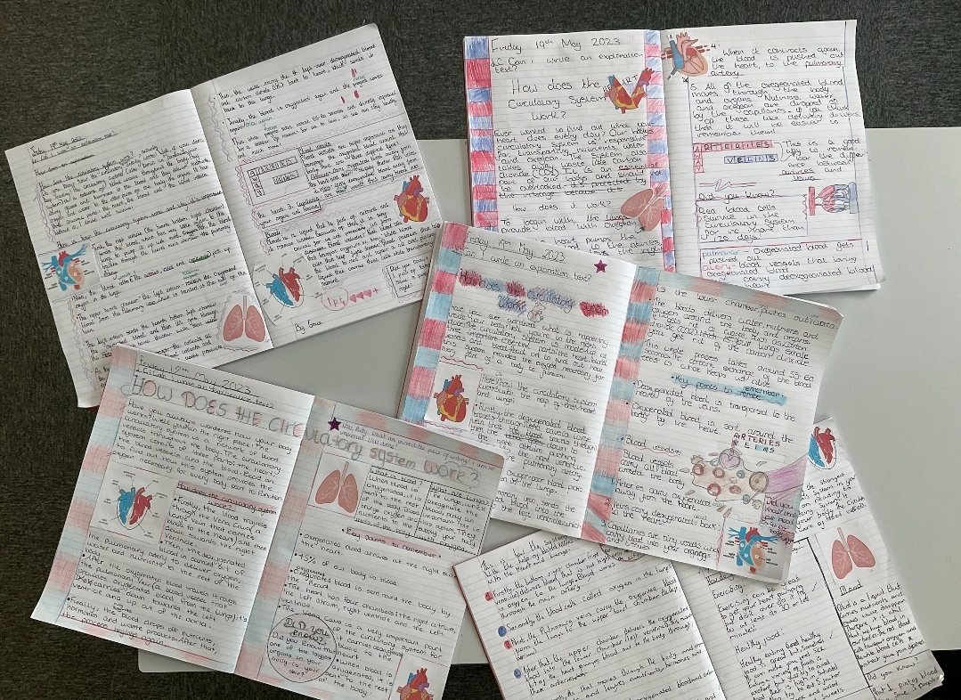 HackwoodAcademy's tweet photo. Our year 6 Falcon's class have produced some amazing explanation texts about the circulatory system. #worktobeproudof #harmonypledge #curriculum #beanexpertlearner #beworkwise #circulatory @MrForidMiah https://t.co/REQEwETfOe