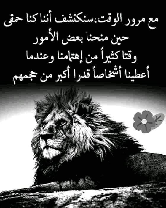 olfat hussein (@olfathussein21) on Twitter photo 