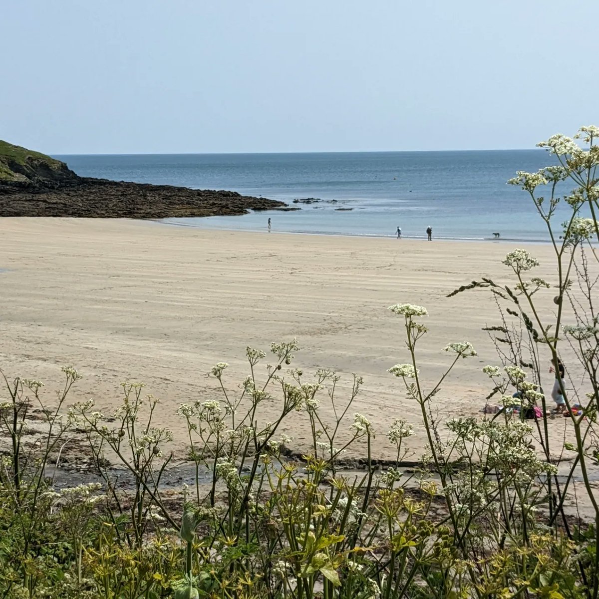 Portscatho beach, Cornwall. A precious day off and the sun was shining.
#Cornwall #beaches #ColdwaterTherapy #swimming #oceans #BookRecommendations #ihopetheresakettleinmyroom 
#BooksWorthReading #bookstagram #BookTwitter #BookBoost #booktok