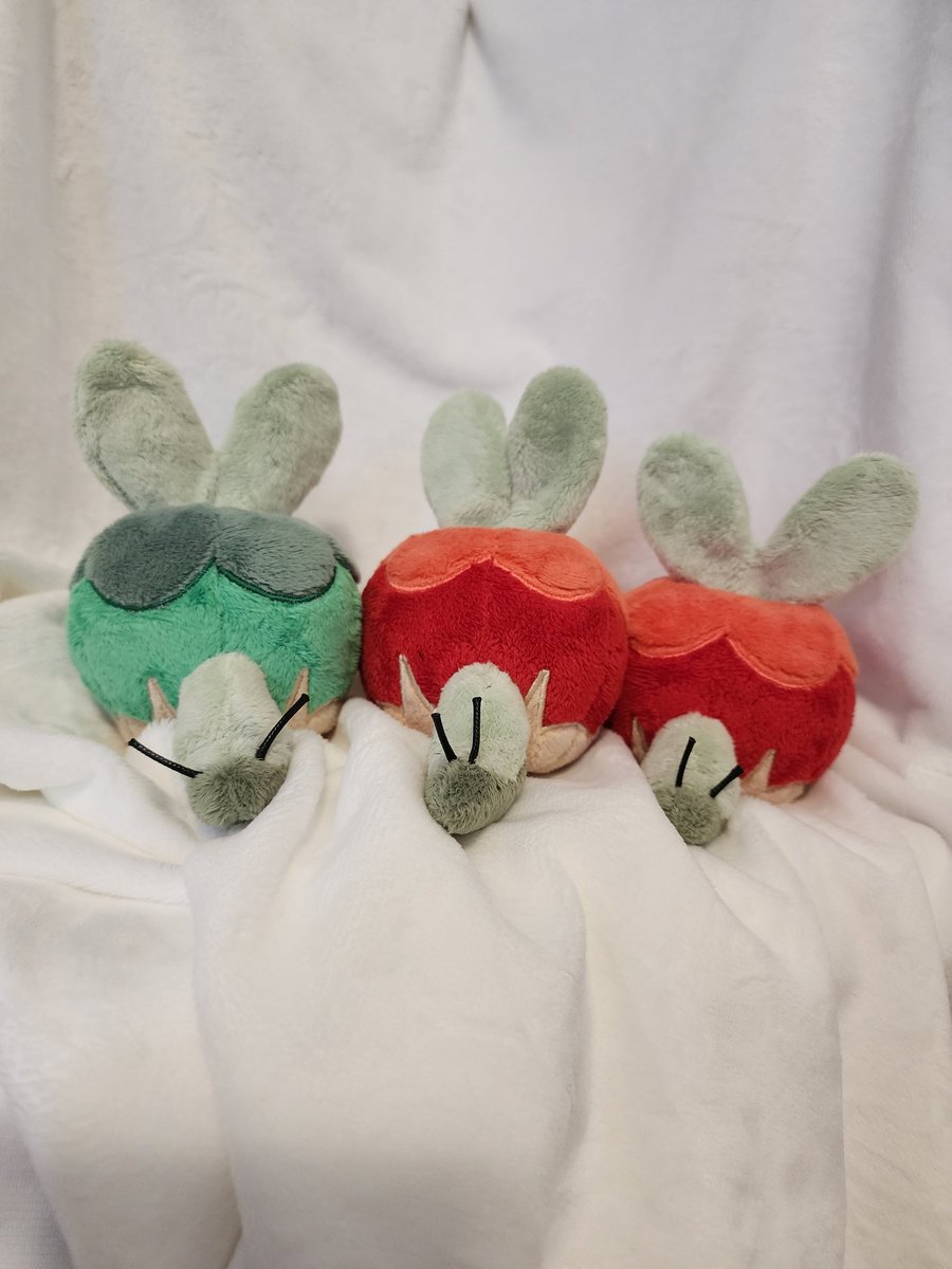 Harbingerplush's tweet photo. I have these three applin (pattern made by @BoiraPlushies  !)
That I'm looking to sell them for 90 USD each+shipping 
Kind of pressed with time since I need to pay an overdue phone bill so selling them would cover it 🙏 any help appreciated I also have other plush too 
#plush https://t.co/BnABq7Rs9m
