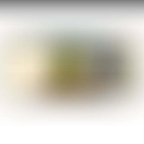 furry_irl bot tweet media